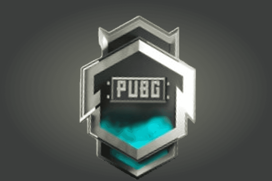 Элитный пропуск Плюс (1-100 уровни) PUBG Mobile