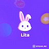 300 Lita Coins
