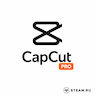 CapCut 1 Month (EU) Standard