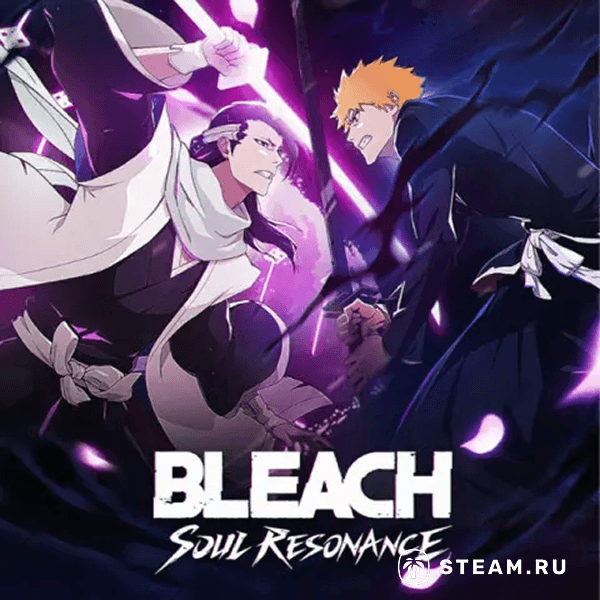 Bleach: Soul Resonance